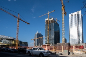 Crane Counting