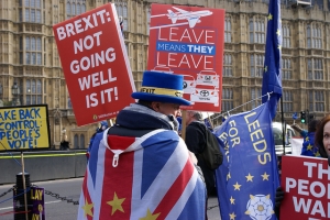 Brexit Demonstrator near Parliament