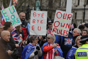  Brexit day protests, central London 31st January 2020.