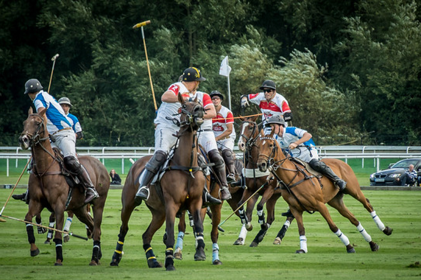 Polo Match