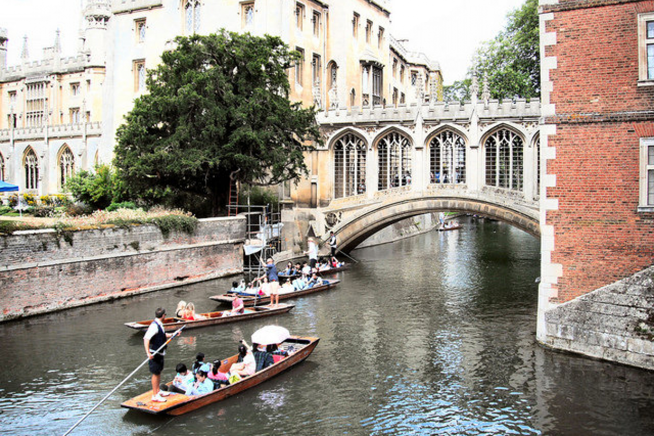 A few more punts in Cambridge