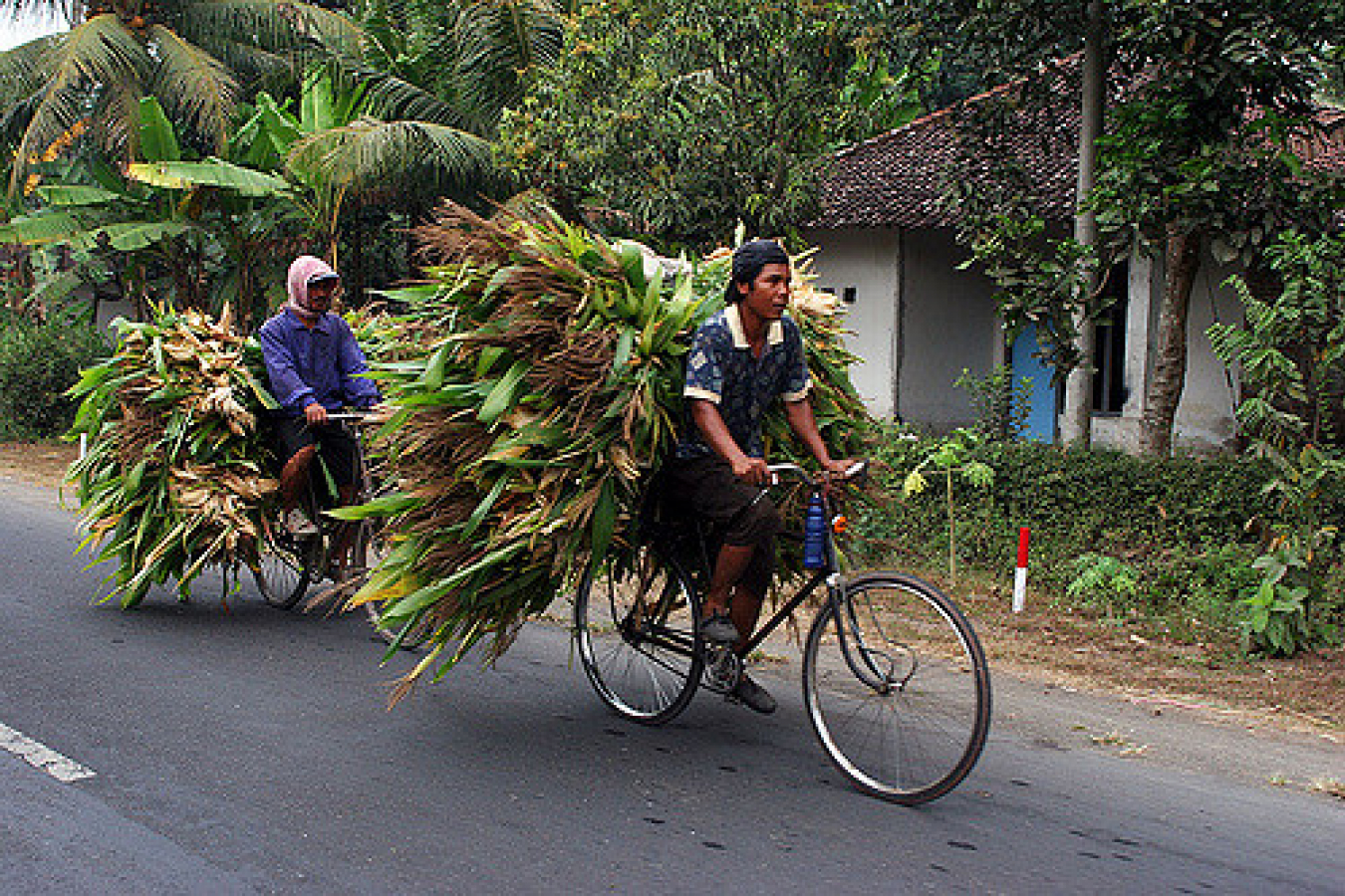 Indonesia