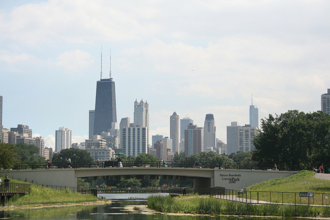 Chicago Skyline from the Nature Boardwalk