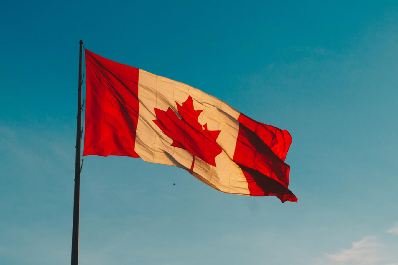 Canadian Flag