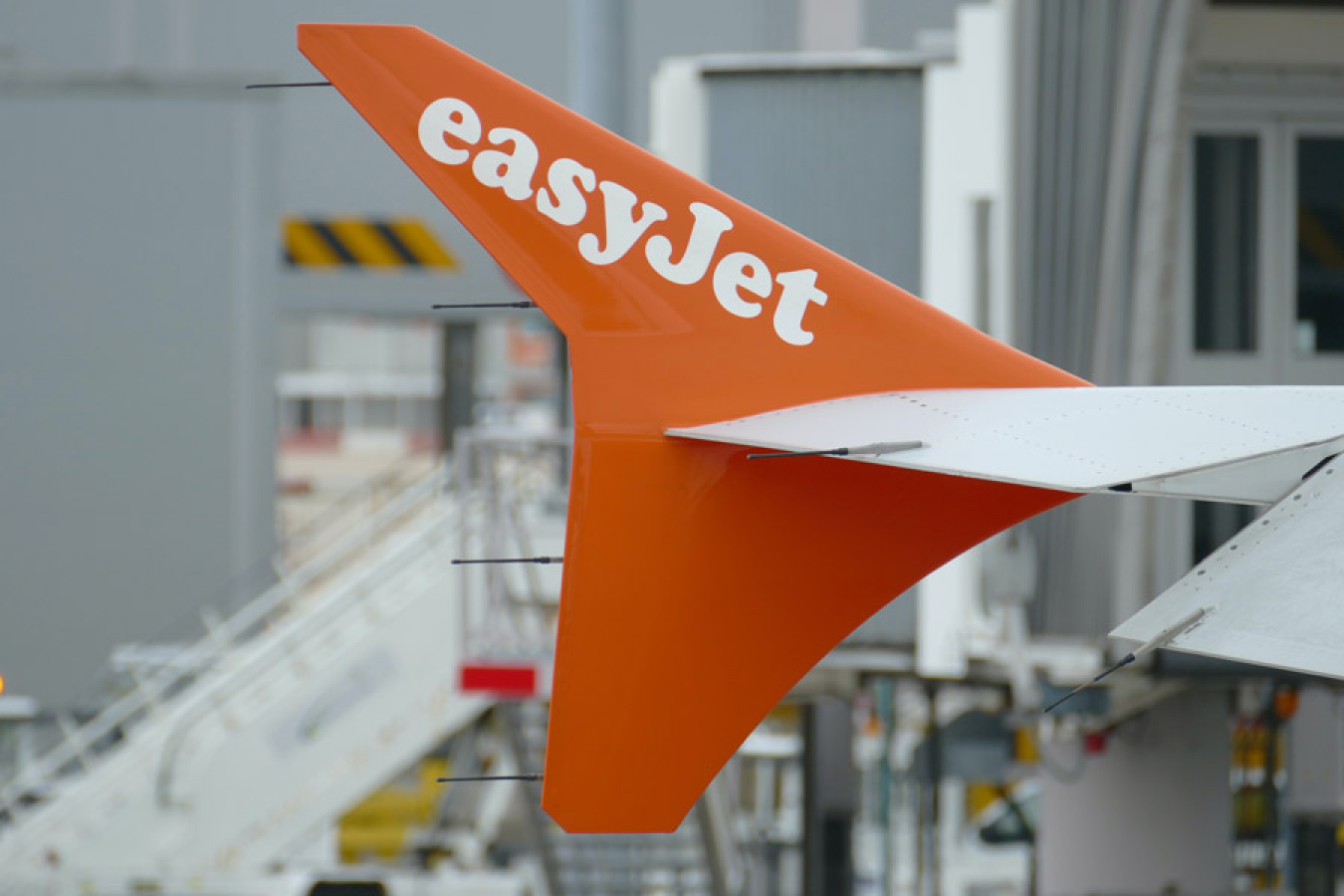 UK Visa Stance Blasted By EasyJet Boss Amid Travel Chaos | Workpermit.com