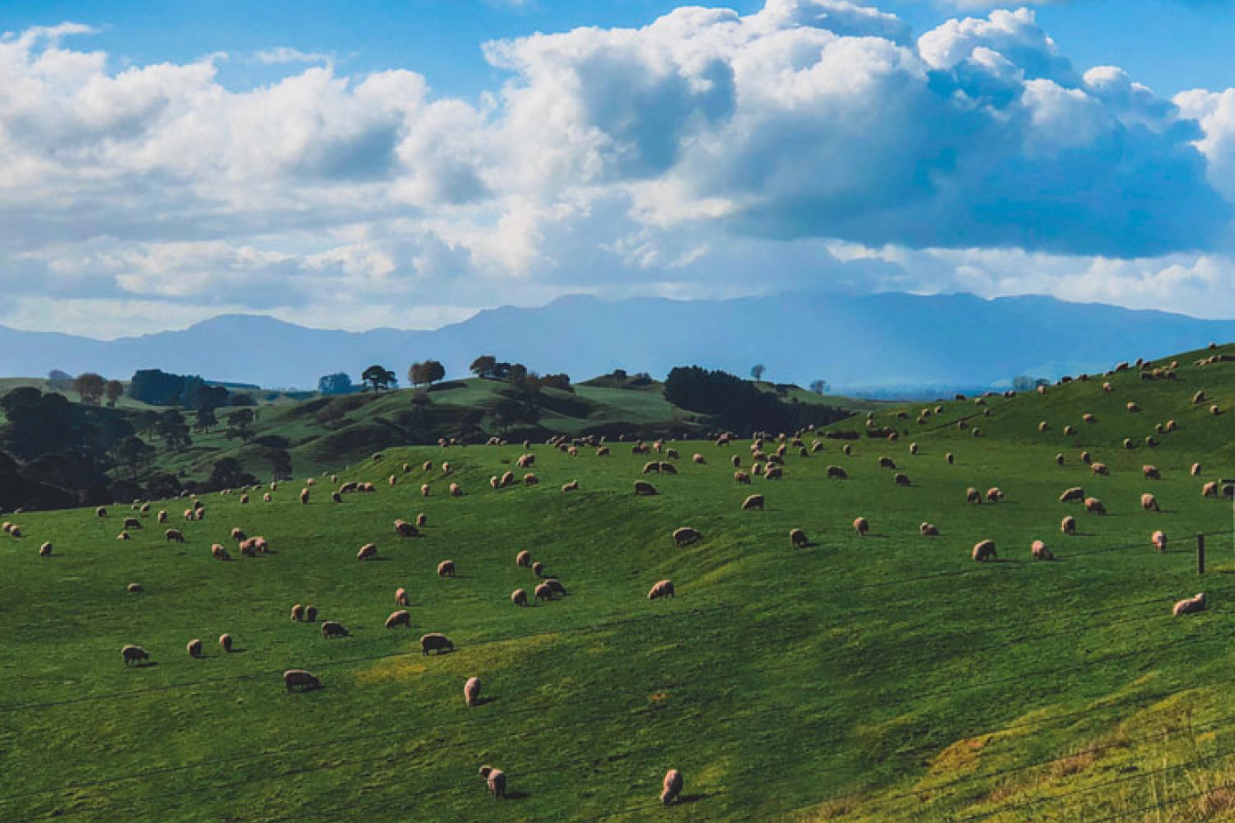 farmland