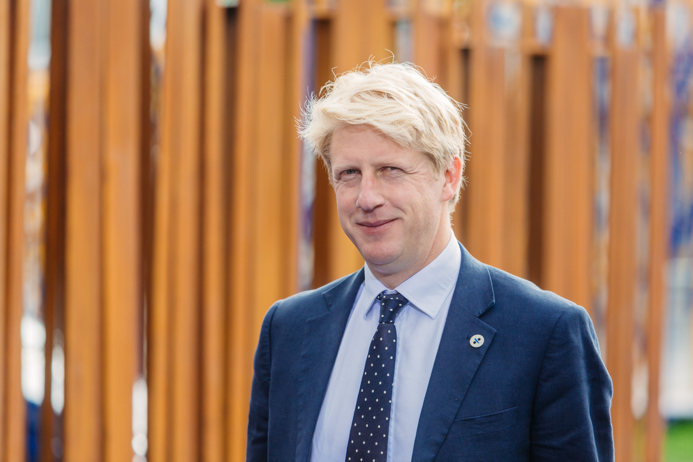 Jo Johnson, former Universities Ministers and brother of Boris Johnson 25 July 2017