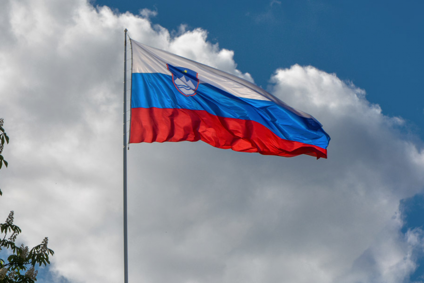 Slovenian Flag