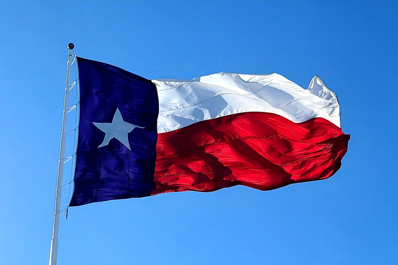 Texan Flag